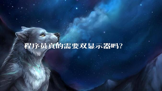 程序员真的需要双显示器吗？