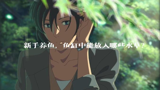 新手养鱼，鱼缸中能放入哪些水草？